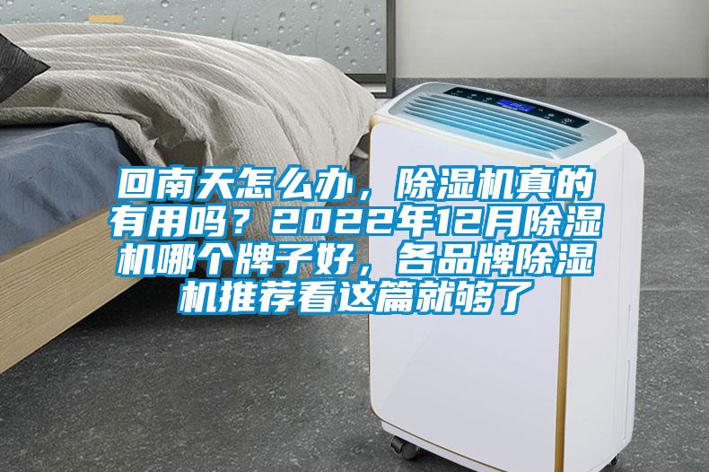 回南天怎么辦，除濕機真的有用嗎？2022年12月除濕機哪個牌子好，各品牌除濕機推薦看這篇就夠了