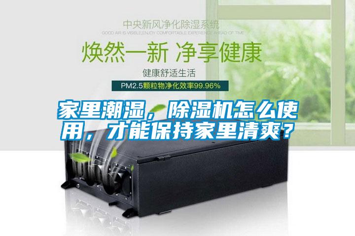 家里潮濕，除濕機怎么使用，才能保持家里清爽？