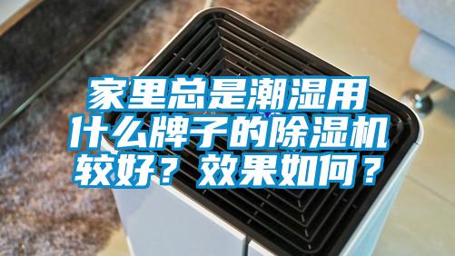 家里總是潮濕用什么牌子的除濕機較好？效果如何？