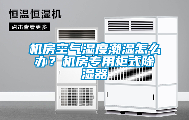 機房空氣濕度潮濕怎么辦？機房專用柜式除濕器