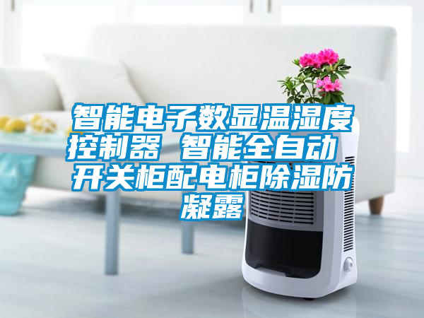 智能電子數(shù)顯溫濕度控制器 智能全自動 開關柜配電柜除濕防凝露