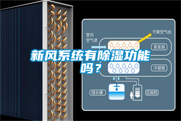 新風(fēng)系統(tǒng)有除濕功能嗎？