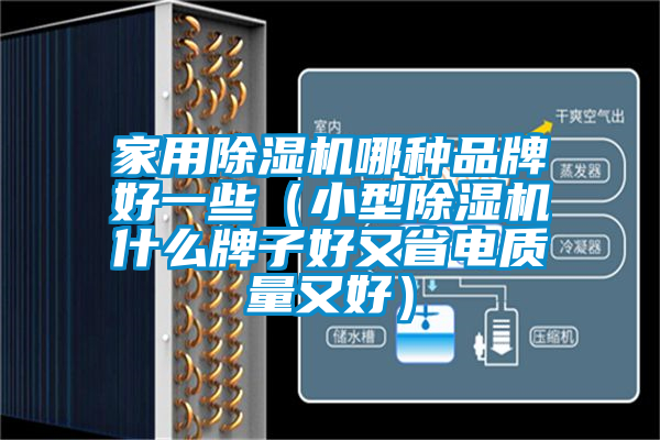 家用除濕機哪種品牌好一些（小型除濕機什么牌子好又省電質(zhì)量又好）