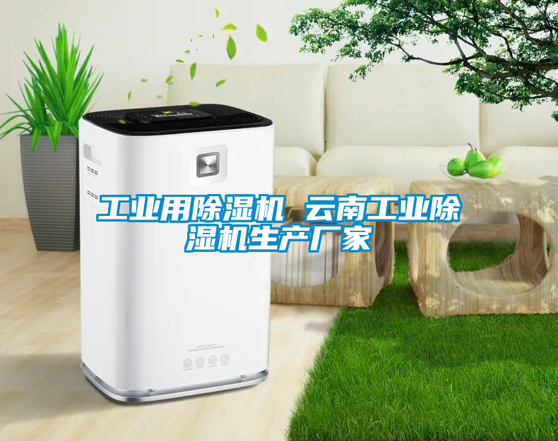 工業(yè)用除濕機 云南工業(yè)除濕機生產廠家