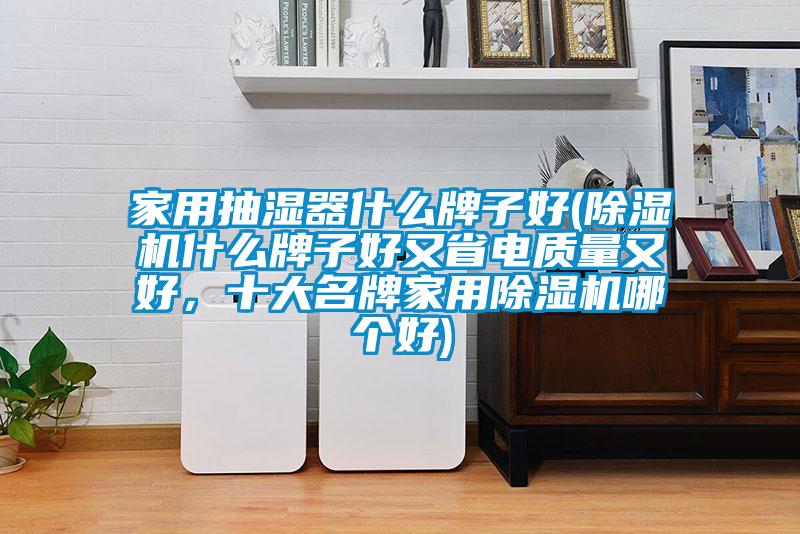 家用抽濕器什么牌子好(除濕機(jī)什么牌子好又省電質(zhì)量又好，十大名牌家用除濕機(jī)哪個(gè)好)