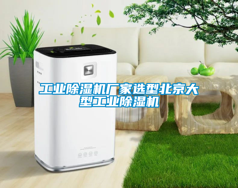 工業(yè)除濕機廠家選型北京大型工業(yè)除濕機