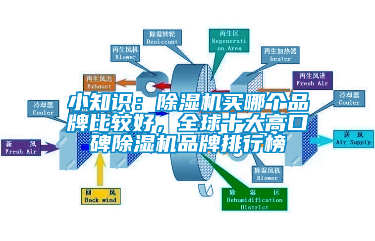 小知識：除濕機買哪個品牌比較好，全球十大高口碑除濕機品牌排行榜