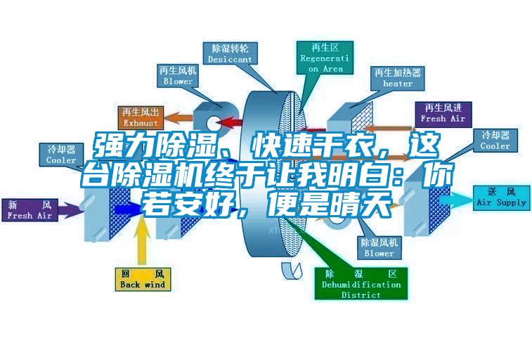 強(qiáng)力除濕、快速干衣，這臺(tái)除濕機(jī)終于讓我明白：你若安好，便是晴天