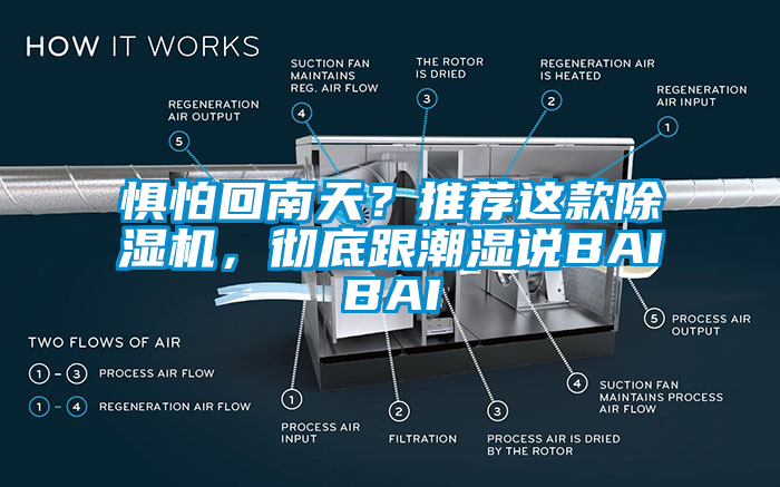 懼怕回南天？推薦這款除濕機(jī)，徹底跟潮濕說BAIBAI