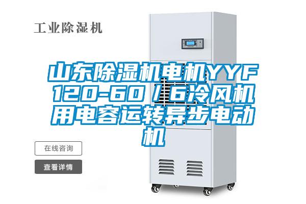 山東除濕機電機YYF120-60／6冷風(fēng)機用電容運轉(zhuǎn)異步電動機