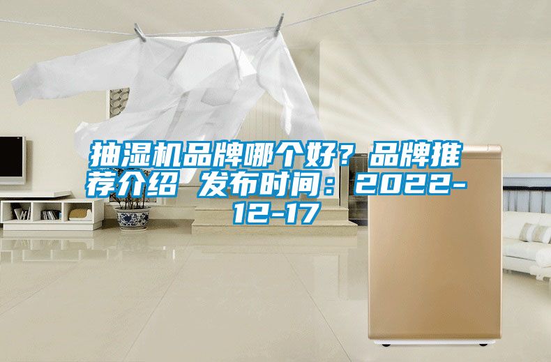 抽濕機品牌哪個好？品牌推薦介紹 發(fā)布時間：2022-12-17