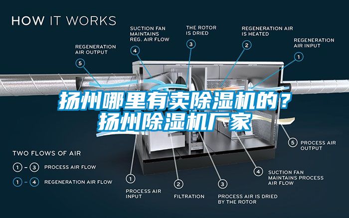 揚(yáng)州哪里有賣除濕機(jī)的？揚(yáng)州除濕機(jī)廠家