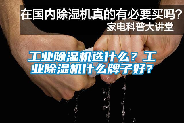 工業(yè)除濕機(jī)選什么？工業(yè)除濕機(jī)什么牌子好？