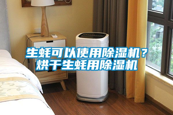 生蠔可以使用除濕機？烘干生蠔用除濕機