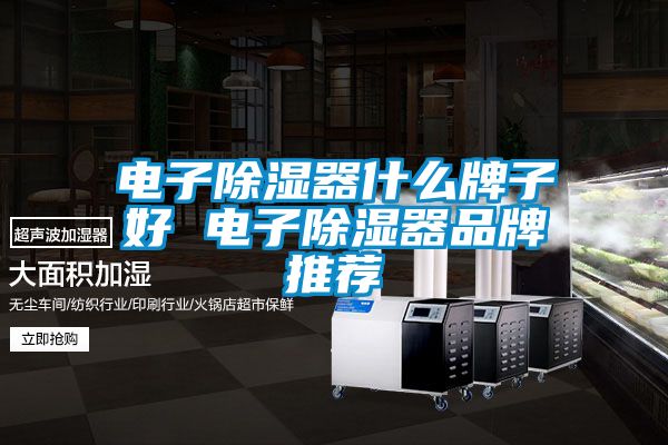 電子除濕器什么牌子好 電子除濕器品牌推薦