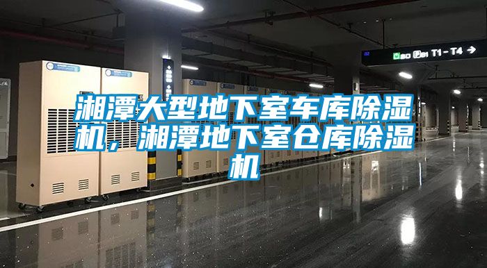 湘潭大型地下室車庫除濕機，湘潭地下室倉庫除濕機