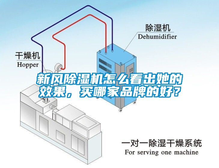 新風(fēng)除濕機(jī)怎么看出她的效果，買哪家品牌的好？