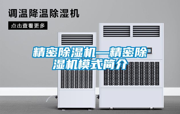 精密除濕機—精密除濕機模式簡介