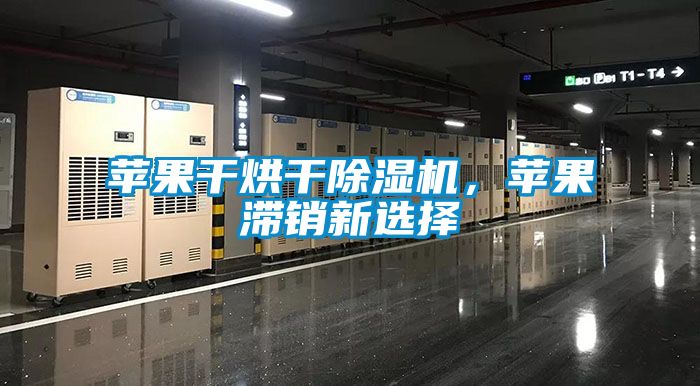 蘋果干烘干除濕機，蘋果滯銷新選擇