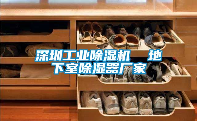 深圳工業(yè)除濕機(jī)  地下室除濕器廠(chǎng)家