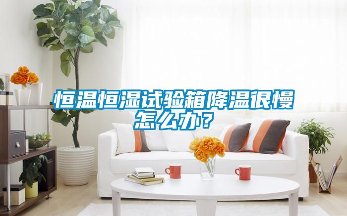 恒溫恒濕試驗(yàn)箱降溫很慢怎么辦？