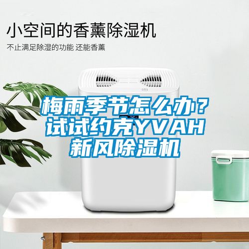 梅雨季節(jié)怎么辦？試試約克YVAH新風(fēng)除濕機