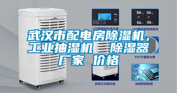 武漢市配電房除濕機(jī)，工業(yè)抽濕機(jī)  除濕器廠家 價格