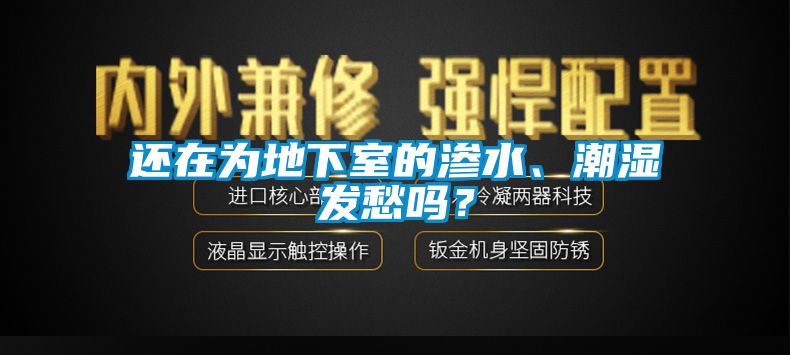 還在為地下室的滲水、潮濕發(fā)愁嗎？