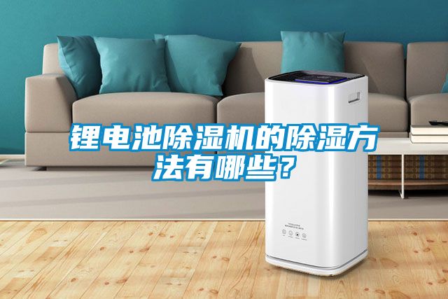 鋰電池除濕機的除濕方法有哪些？