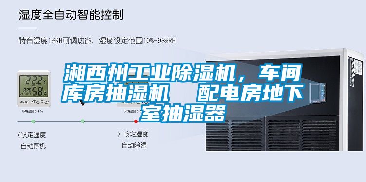 湘西州工業(yè)除濕機，車間庫房抽濕機  配電房地下室抽濕器