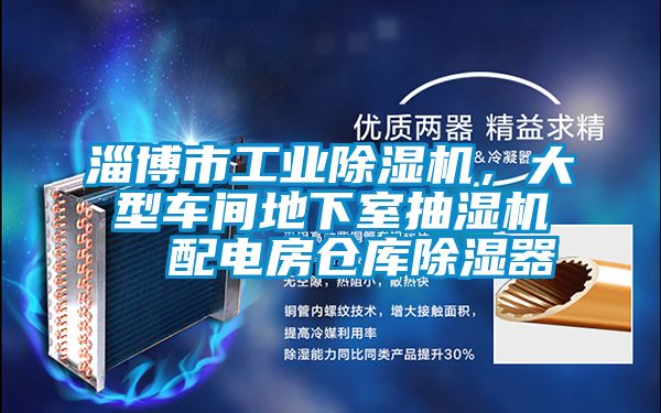 淄博市工業(yè)除濕機，大型車間地下室抽濕機  配電房倉庫除濕器