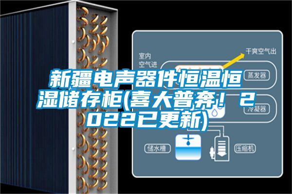 新疆電聲器件恒溫恒濕儲(chǔ)存柜(喜大普奔！2022已更新)