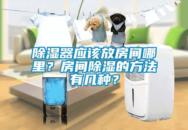 除濕器應(yīng)該放房間哪里？房間除濕的方法有幾種？