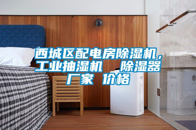 西城區(qū)配電房除濕機，工業(yè)抽濕機  除濕器廠家 價格