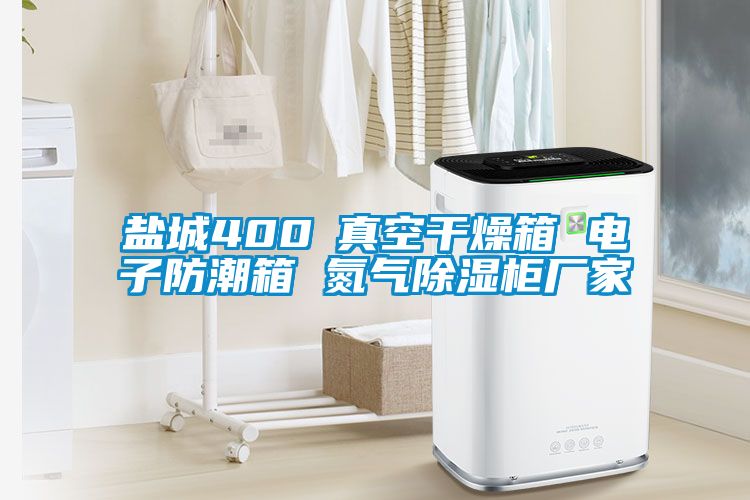 鹽城400℃真空干燥箱 電子防潮箱 氮?dú)獬凉窆駨S家