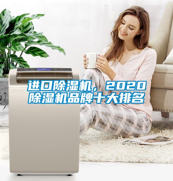 進口除濕機，2020除濕機品牌十大排名