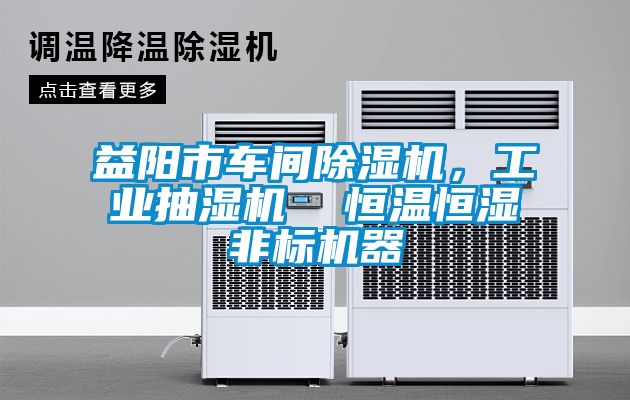 益陽市車間除濕機，工業(yè)抽濕機  恒溫恒濕非標機器