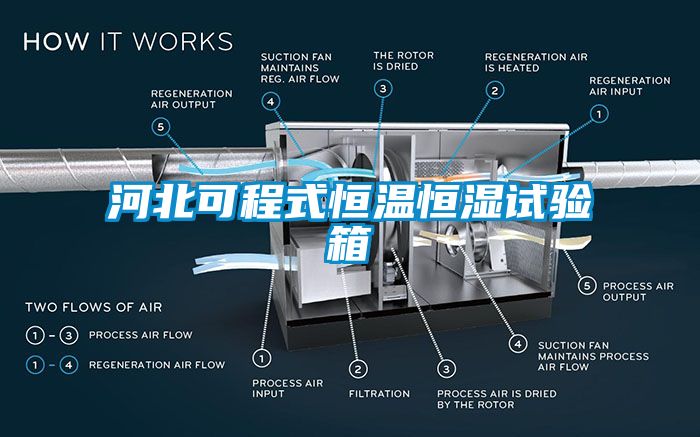 河北可程式恒溫恒濕試驗(yàn)箱