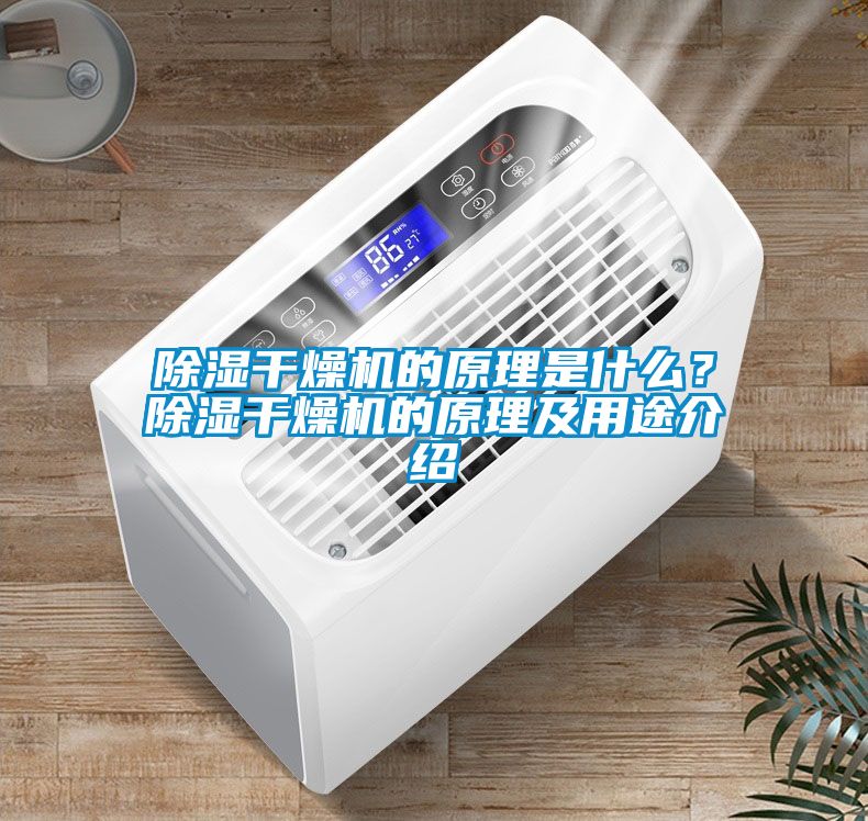 除濕干燥機的原理是什么？除濕干燥機的原理及用途介紹