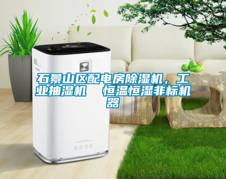 石景山區(qū)配電房除濕機，工業(yè)抽濕機  恒溫恒濕非標(biāo)機器