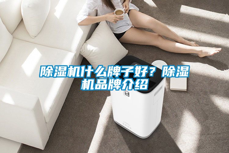 除濕機什么牌子好？除濕機品牌介紹