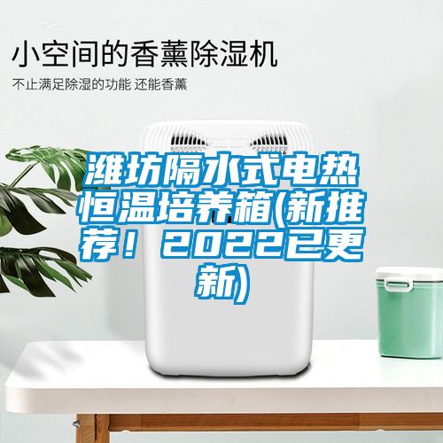 濰坊隔水式電熱恒溫培養(yǎng)箱(新推薦！2022已更新)