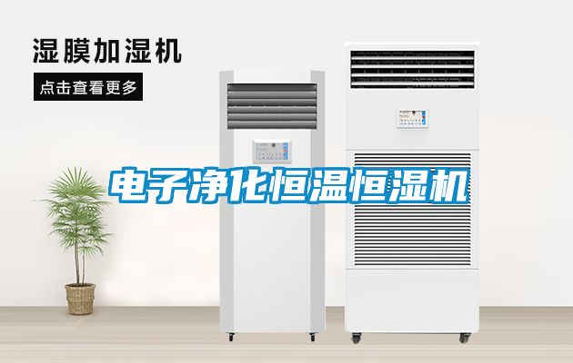 電子凈化恒溫恒濕機