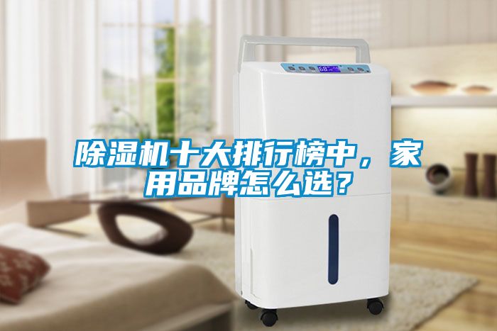 除濕機(jī)十大排行榜中，家用品牌怎么選？