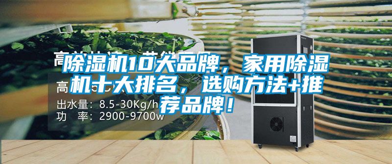 除濕機10大品牌，家用除濕機十大排名，選購方法+推薦品牌！