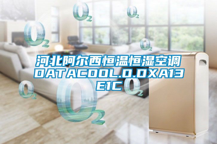 河北阿爾西恒溫恒濕空調(diào)DATACOOL.O.DXA13E1C