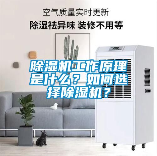 除濕機(jī)工作原理是什么？如何選擇除濕機(jī)？