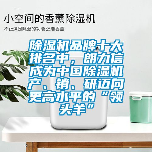 除濕機(jī)品牌十大排名中，朗力信成為中國(guó)除濕機(jī)產(chǎn)、銷、研邁向更高水平的“領(lǐng)頭羊”