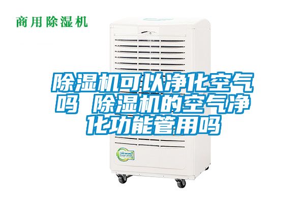 除濕機可以凈化空氣嗎 除濕機的空氣凈化功能管用嗎