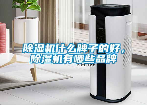 除濕機什么牌子的好，除濕機有哪些品牌